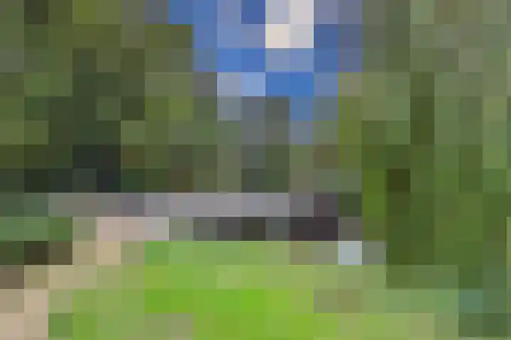 Rozenwerf 26 Almere thumbnail 48
