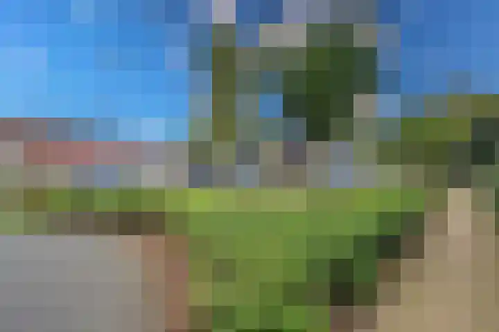 Rozenwerf 26 Almere thumbnail 49