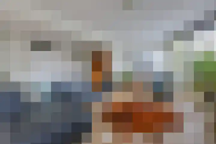 Rozenwerf 26 Almere thumbnail 9