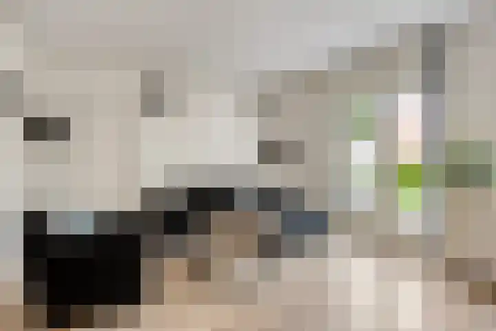 Rozenwerf 98 Almere thumbnail 10