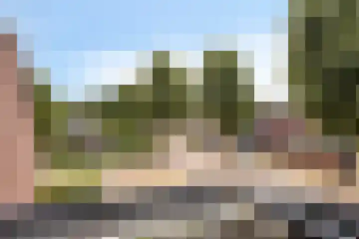 Rozenwerf 98 Almere thumbnail 23