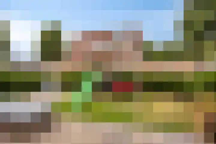Rozenwerf 98 Almere thumbnail 26