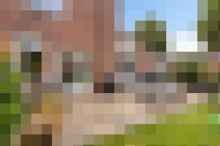 Rozenwerf 98 Almere thumbnail 27