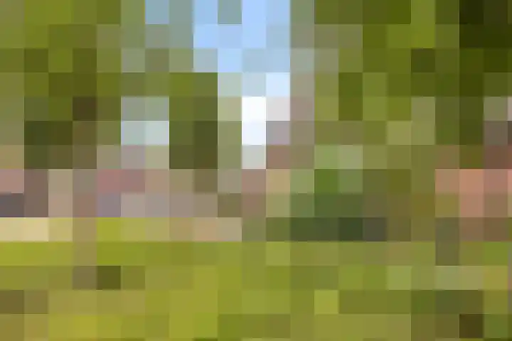 Rozenwerf 98 Almere thumbnail 28