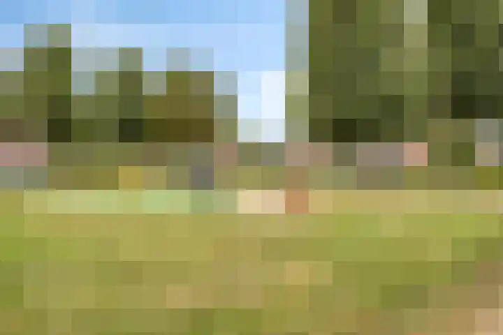 Rozenwerf 98 Almere thumbnail 29