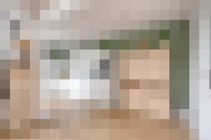 Rozestraat 5 Olst thumbnail 11