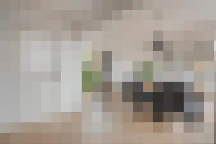 Rozestraat 5 Olst thumbnail 16