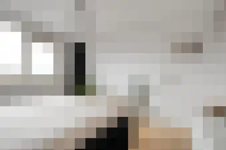Rozestraat 5 Olst thumbnail 19
