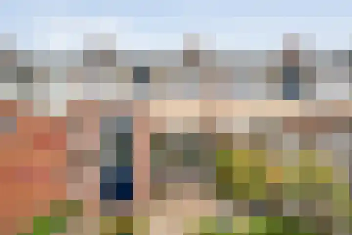 Rozestraat 5 Olst thumbnail 28