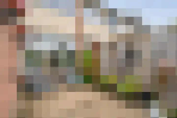 Rozestraat 5 Olst thumbnail 29