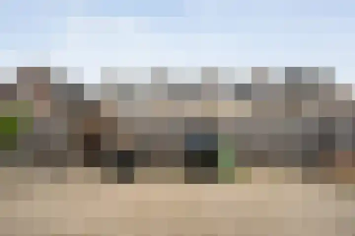 Rozestraat 5 Olst thumbnail 35