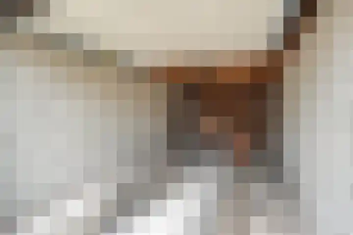 Rozestraat 5 Olst thumbnail 38