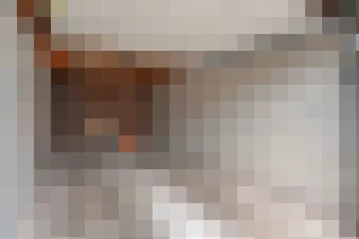Rozestraat 5 Olst thumbnail 39