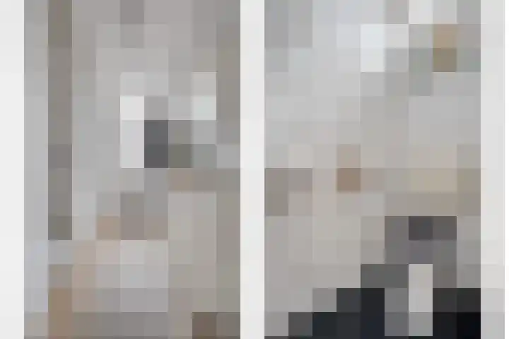 Rozestraat 5 Olst thumbnail 4