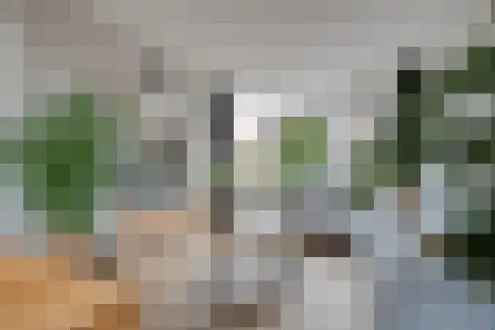 Rozestraat 5 Olst thumbnail 6