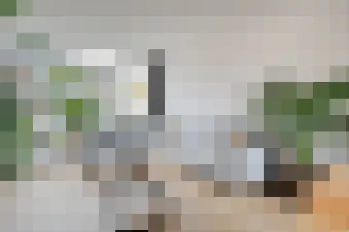 Rozestraat 5 Olst thumbnail 7