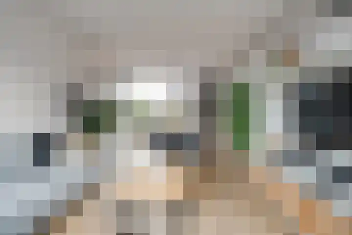 Rozestraat 5 Olst thumbnail 8