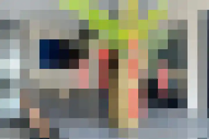 Rozet 19 Waddinxveen thumbnail 18