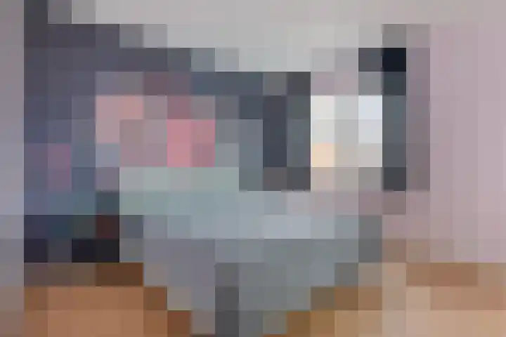 Rozet 19 Waddinxveen thumbnail 22