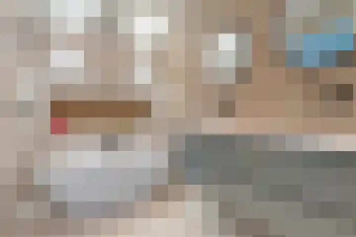 Rozet 19 Waddinxveen thumbnail 26