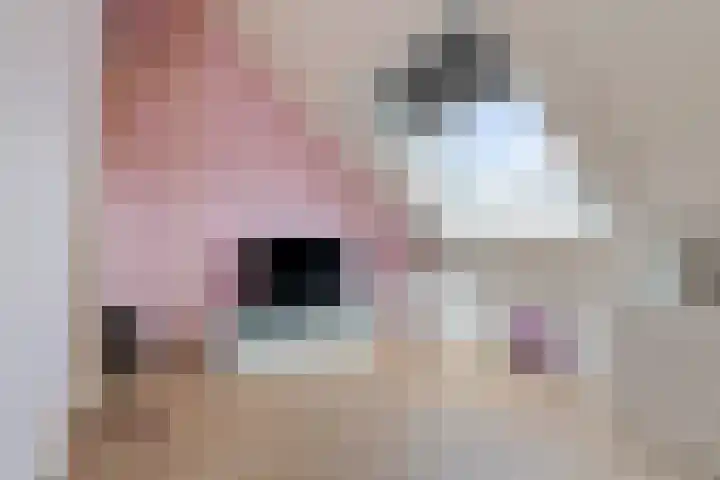 Rozet 19 Waddinxveen thumbnail 36