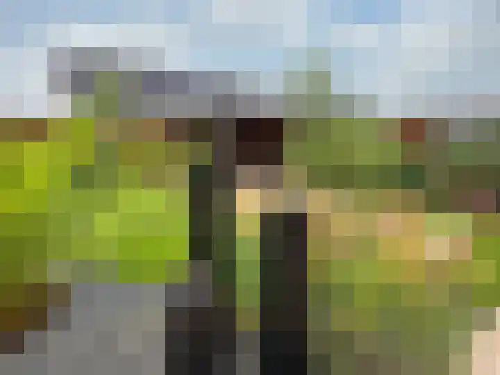 Rozet 19 Waddinxveen thumbnail 45
