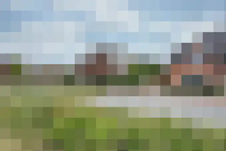 Rozet 19 Waddinxveen thumbnail 46