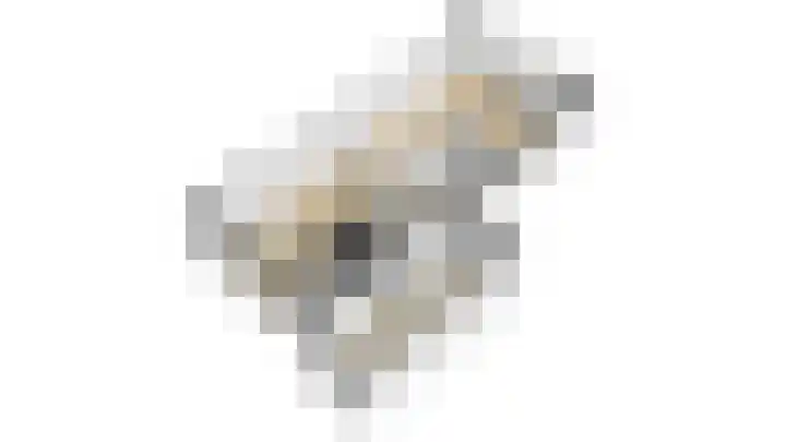 Rozet 19 Waddinxveen thumbnail 52