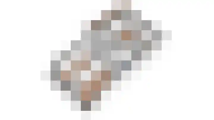 Rozet 19 Waddinxveen thumbnail 56