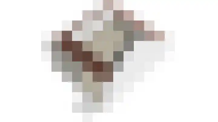 Rozet 19 Waddinxveen thumbnail 62