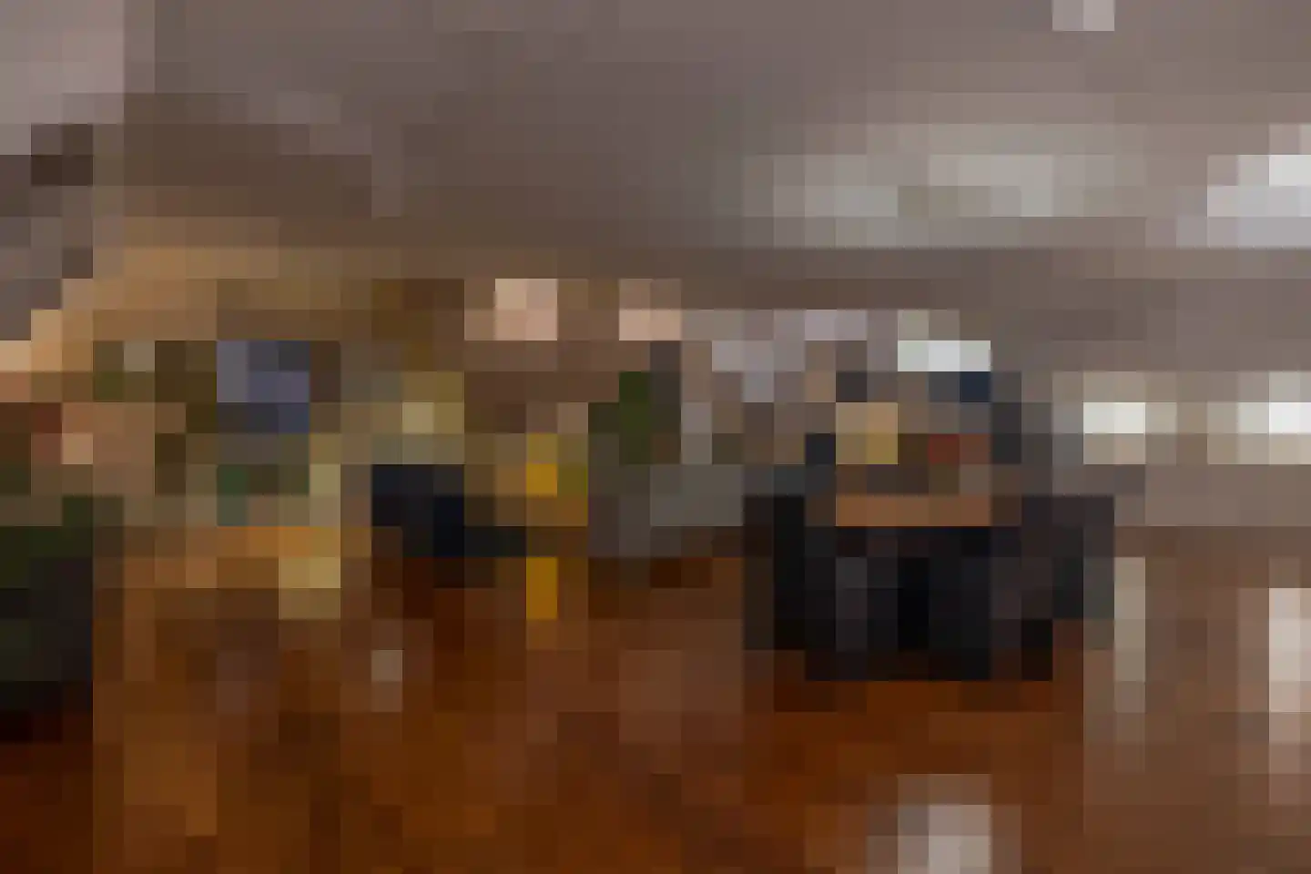 Rozet 45 Waddinxveen thumbnail 4