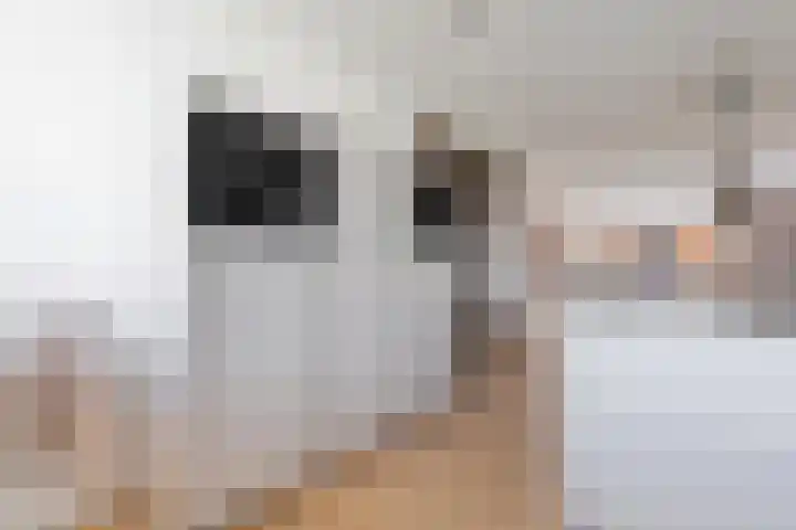 Rozet 7 Waddinxveen thumbnail 11