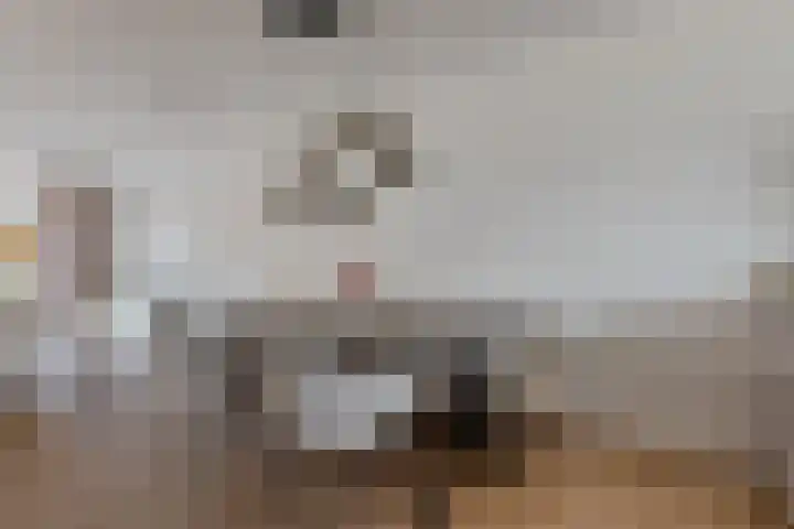 Rozet 7 Waddinxveen thumbnail 13
