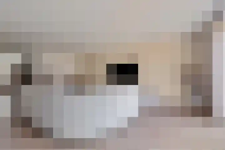 Rozet 7 Waddinxveen thumbnail 22