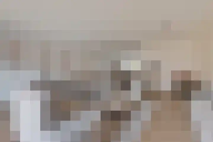 Rozet 7 Waddinxveen thumbnail 23