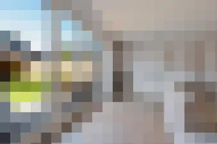 Rozet 7 Waddinxveen thumbnail 24