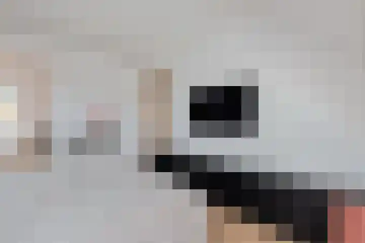 Rozet 7 Waddinxveen thumbnail 42