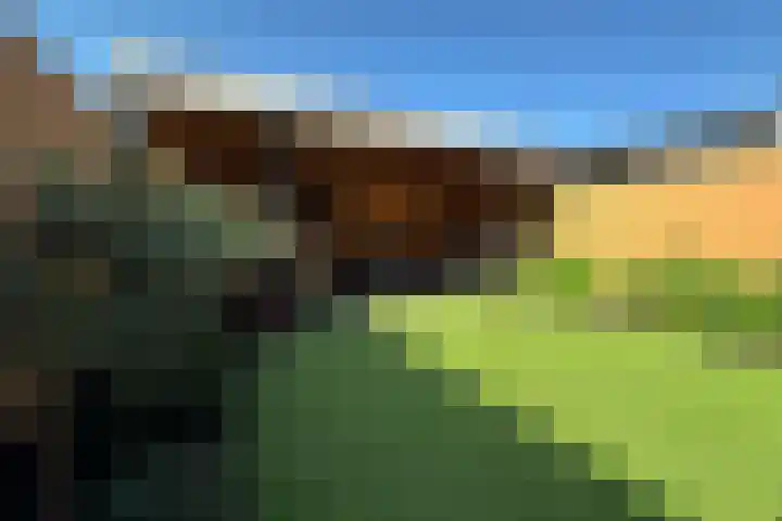 Rozet 7 Waddinxveen thumbnail 47