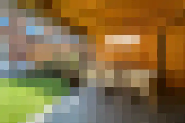 Rozet 7 Waddinxveen thumbnail 49