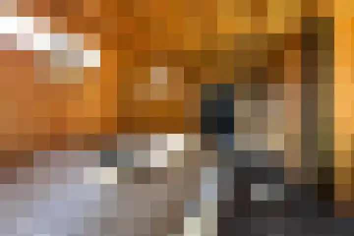 Rozet 7 Waddinxveen thumbnail 50