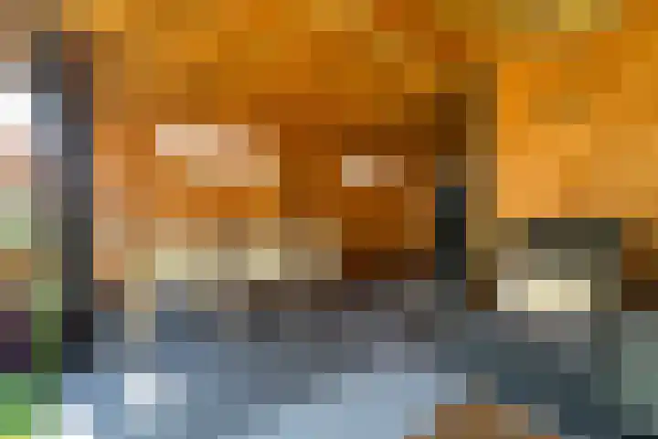 Rozet 7 Waddinxveen thumbnail 51