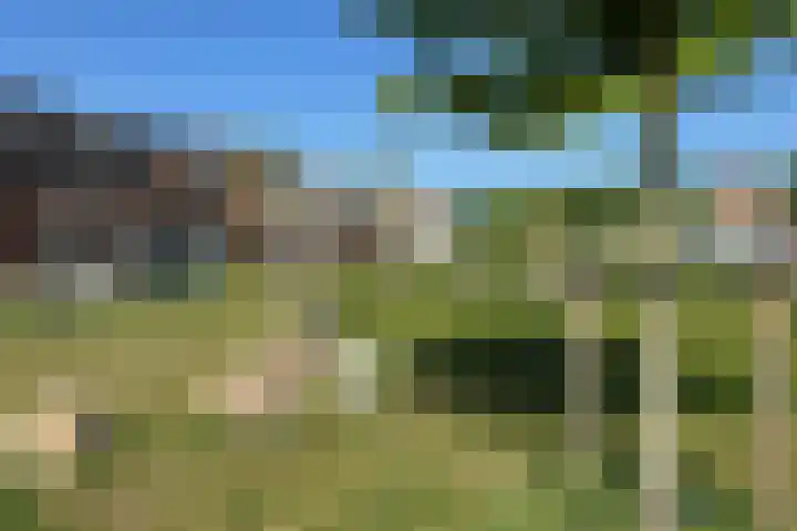 Rozet 7 Waddinxveen thumbnail 54