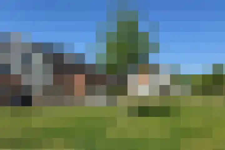 Rozet 7 Waddinxveen thumbnail 55