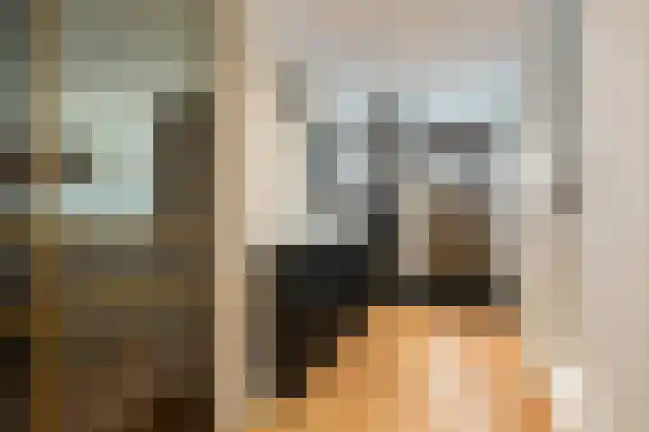 Rozet 7 Waddinxveen thumbnail 6