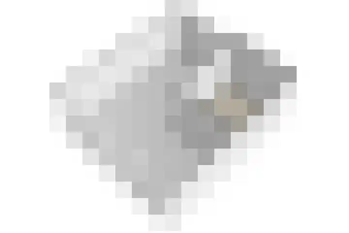 Rozet 7 Waddinxveen thumbnail 61