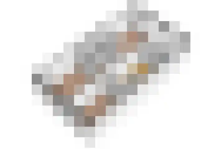 Rozet 7 Waddinxveen thumbnail 66