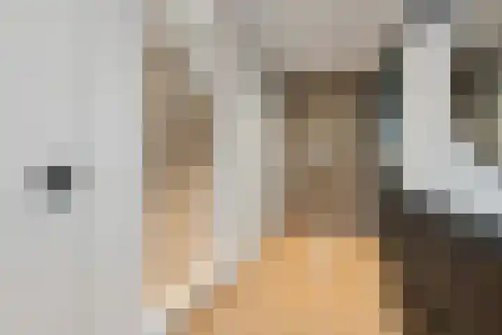 Rozet 7 Waddinxveen thumbnail 7