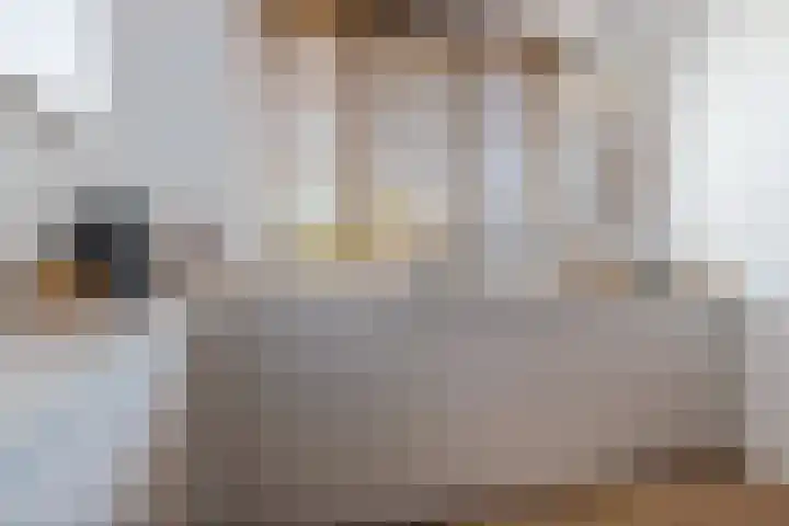 Rozet 7 Waddinxveen thumbnail 9