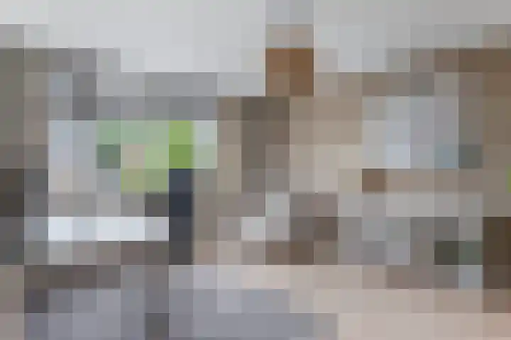 Rozetuin 11 Reeuwijk thumbnail 19