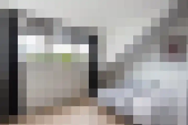 Rozetuin 11 Reeuwijk thumbnail 26